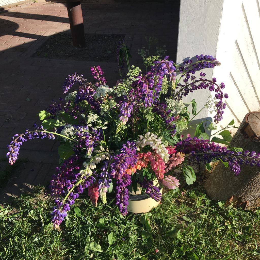 Juhannussalon koristelu ja pystytys Vartsalaan 22.6.2023.